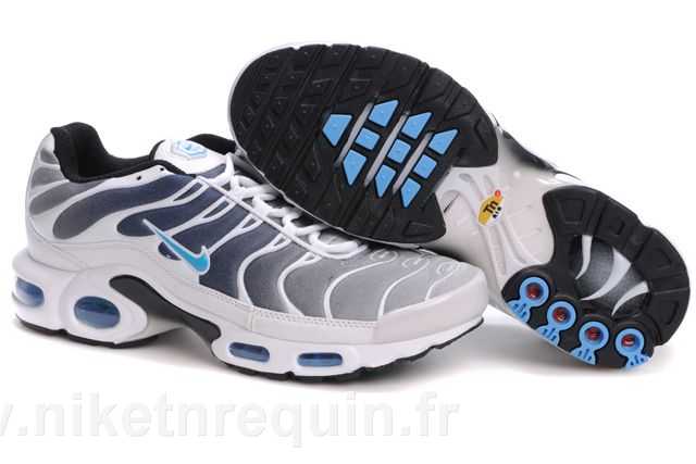 Requin Chaussures Gris